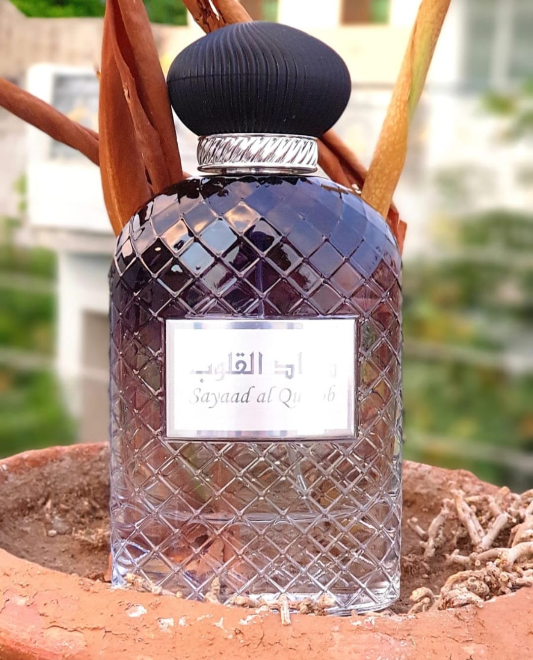 Oud Perfumes with woody, oriental, spicy, and floral notes, perfect for men & women