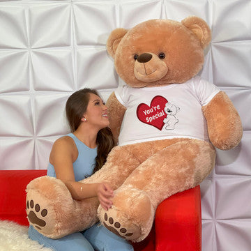 big teddy bear, cute teddy bear, teddy bear price, teddy bear gift, love teddy bear, teddy bear for girls